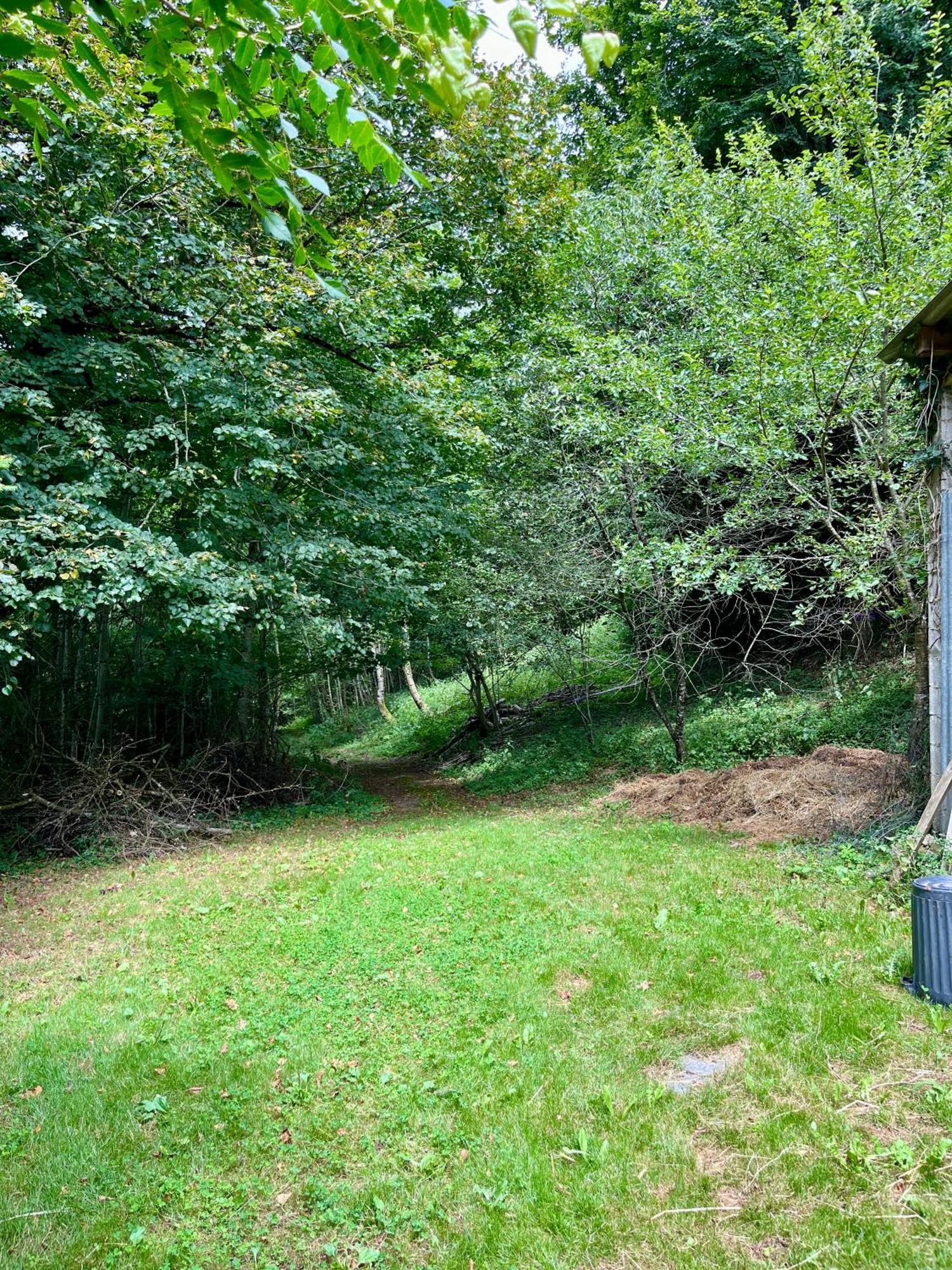 Parenthese En Foret - Lodge Baliveau Le Bez  외부 사진